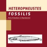 Heteropneustes Fossilis: Role of Brain Vasotocin in Reproductive Activities
