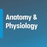 Anatomy & Physiology
