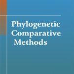 Phylogenetic Comparative Methods